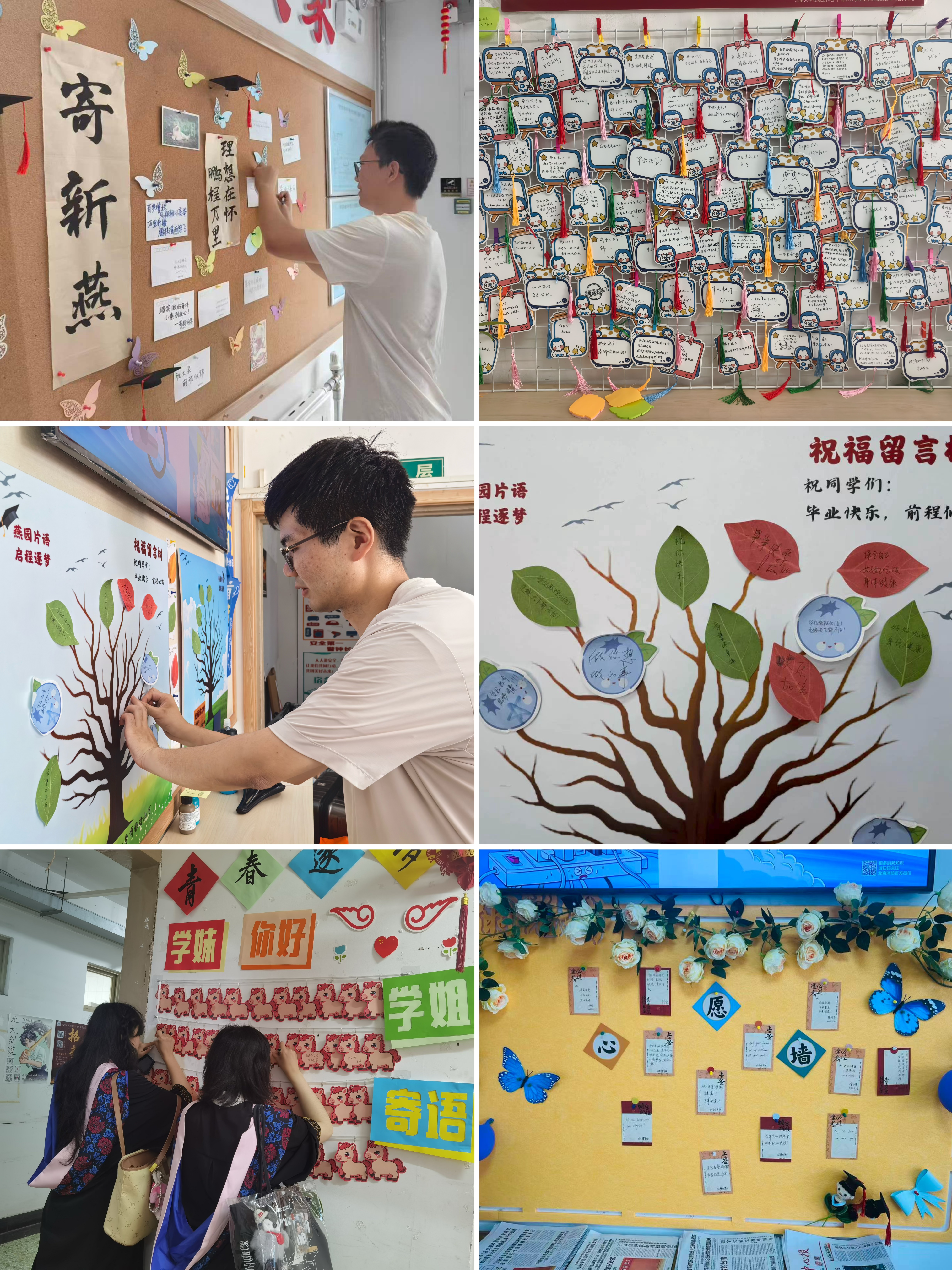 图片10-15.jpg 图片10-15.jpg